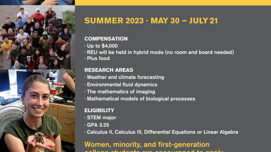 Description and Criteria for the Summer REU hosted by the SoMSS department