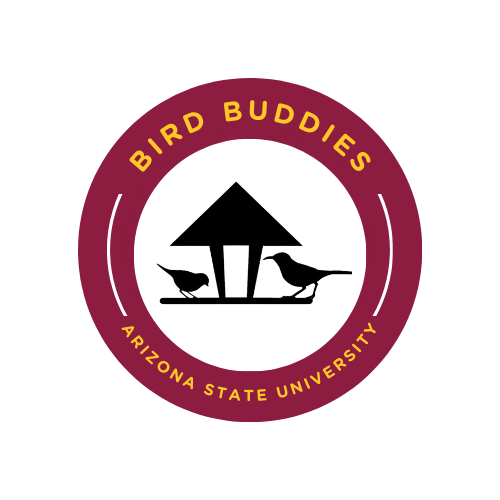 Two birds are eating from the bird feeder.  There is a banner that reads Bird Buddies at the top.